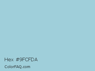 Hex #9fcfda Color Image