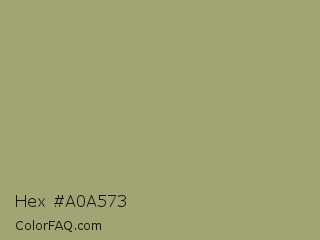 Hex #a0a573 Color Image