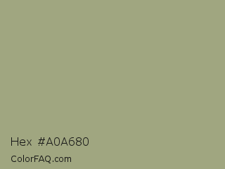 Hex #a0a680 Color Image