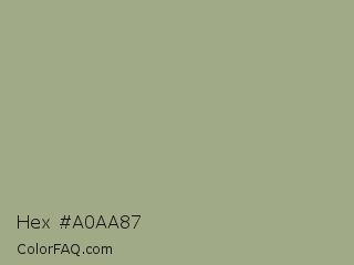 Hex #a0aa87 Color Image