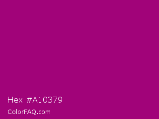 Hex #a10379 Color Image