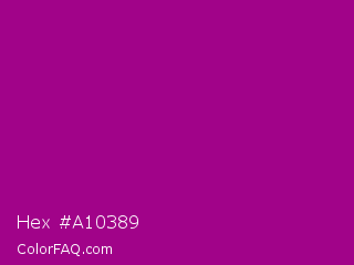 Hex #a10389 Color Image