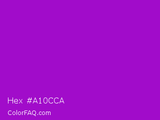 Hex #a10cca Color Image