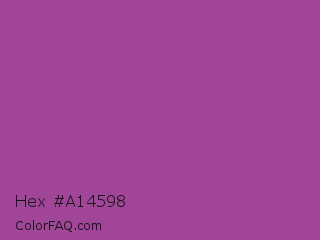 Hex #a14598 Color Image
