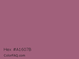 Hex #a1607b Color Image