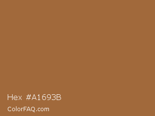Hex #a1693b Color Image