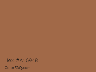 Hex #a16948 Color Image