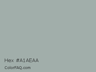 Hex #a1aeaa Color Image