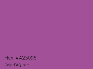 Hex #a25098 Color Image