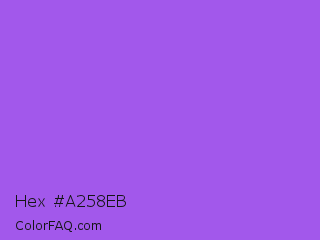 Hex #a258eb Color Image