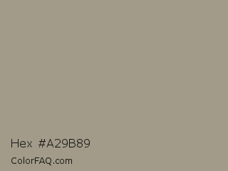 Hex #a29b89 Color Image