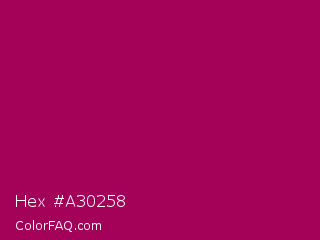 Hex #a30258 Color Image