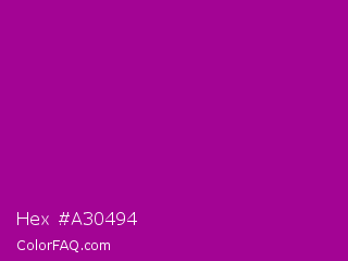 Hex #a30494 Color Image
