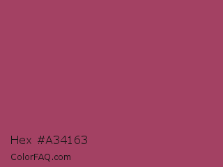 Hex #a34163 Color Image