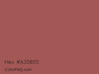 Hex #a35855 Color Image
