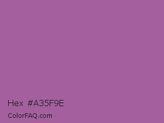 Hex #a35f9e Color Image