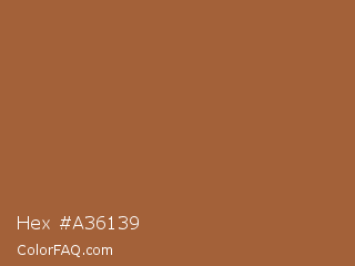 Hex #a36139 Color Image