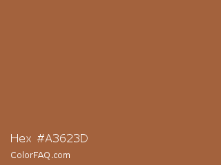 Hex #a3623d Color Image