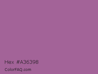 Hex #a36398 Color Image