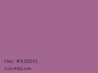 Hex #a36691 Color Image