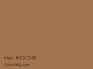 Hex #a3734e Color Image