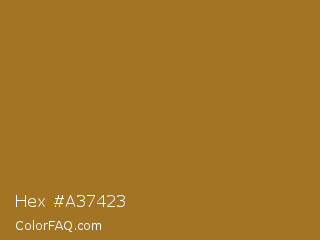 Hex #a37423 Color Image