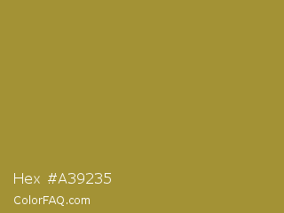 Hex #a39235 Color Image