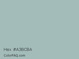 Hex #a3bcba Color Image