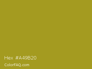 Hex #a49b20 Color Image