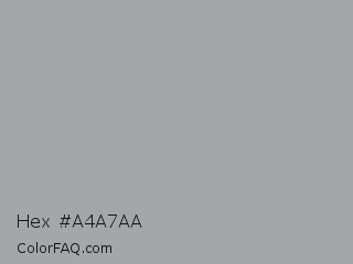 Hex #a4a7aa Color Image
