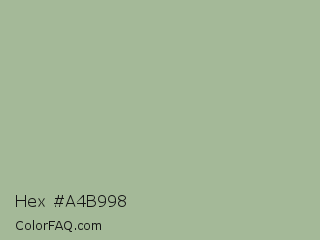 Hex #a4b998 Color Image