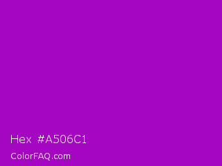 Hex #a506c1 Color Image