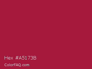 Hex #a5173b Color Image