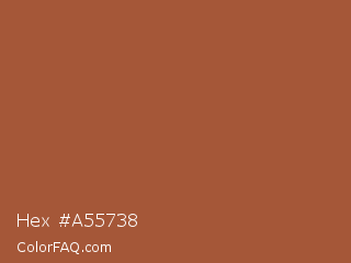 Hex #a55738 Color Image