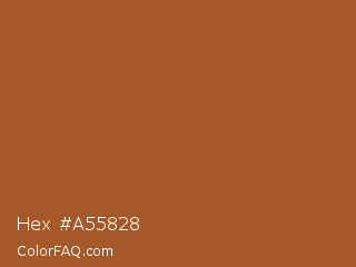 Hex #a55828 Color Image