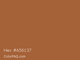 Hex #a56137 Color Image