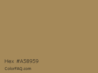 Hex #a58959 Color Image