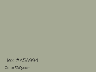 Hex #a5a994 Color Image