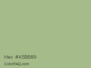 Hex #a5bb89 Color Image