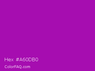 Hex #a60db0 Color Image