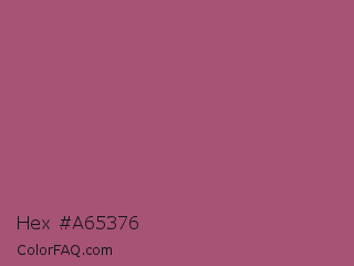 Hex #a65376 Color Image
