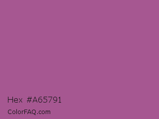 Hex #a65791 Color Image