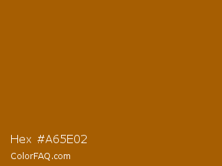 Hex #a65e02 Color Image