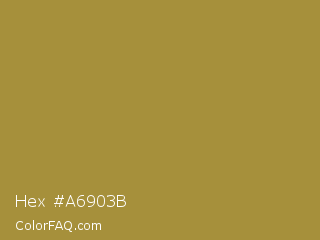 Hex #a6903b Color Image