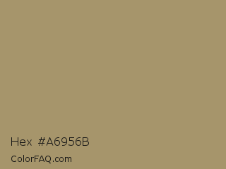 Hex #a6956b Color Image