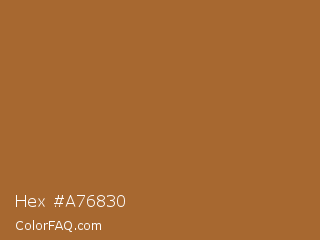 Hex #a76830 Color Image
