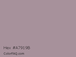 Hex #a7919b Color Image