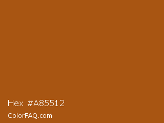 Hex #a85512 Color Image