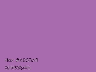 Hex #a86bab Color Image