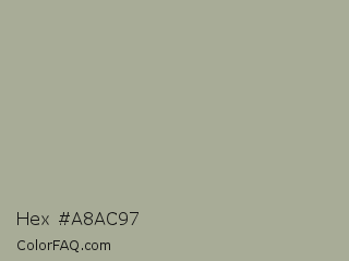 Hex #a8ac97 Color Image